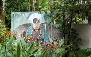 Modern Nosara Villa - Nosara, Costa Rica