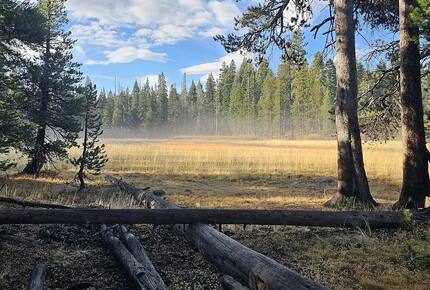 Exquisite Tahoe Rim Trail Haven - Tahoe City, California