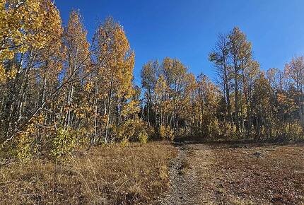Exquisite Tahoe Rim Trail Haven - Tahoe City, California
