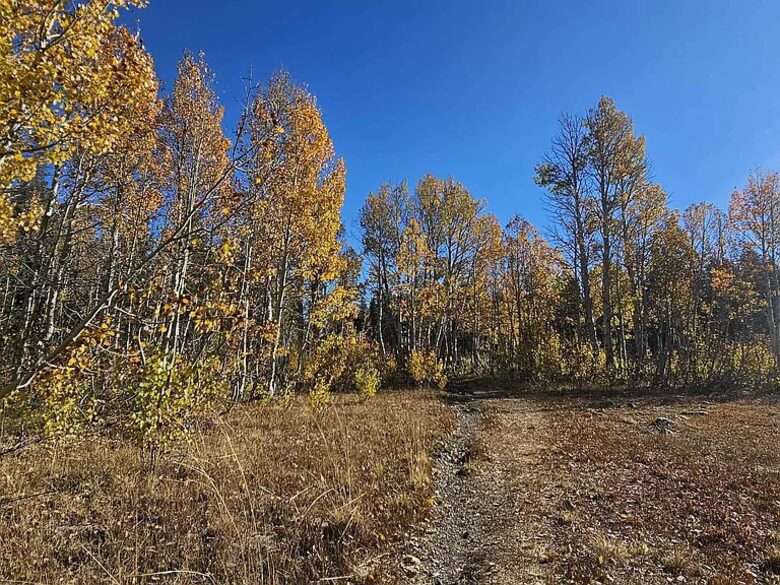 Exquisite Tahoe Rim Trail Haven - Tahoe City, California