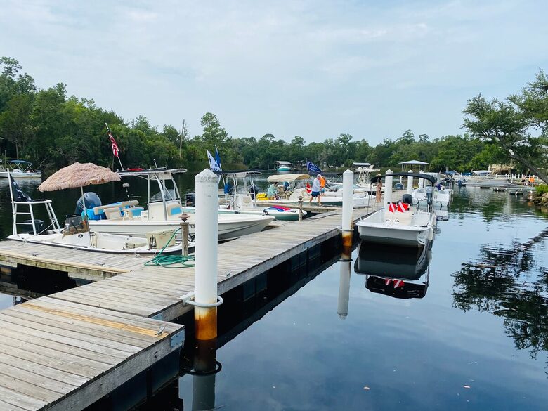 Cozy Nature Escape with Resort Amenities | Boat Rental Available - Steinhatchee, Florida