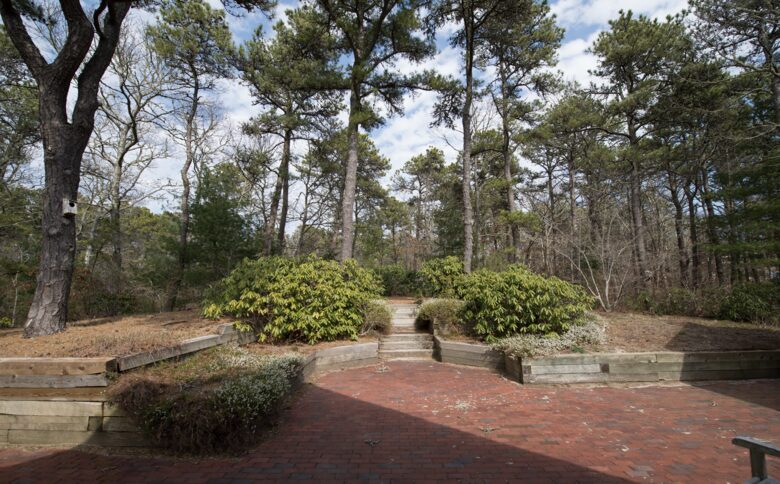 Wooded Coastal Retreat with Private Beach Access - Orleans, Massachusetts