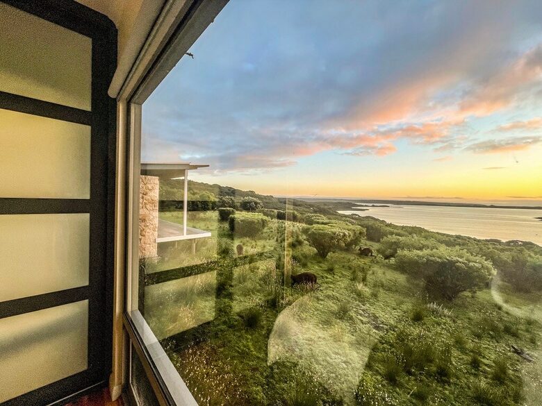 Bushland Elegance on Pelican Lagoon - Pelican Lagoon, Australia