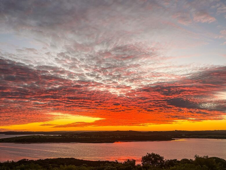 Bushland Elegance on Pelican Lagoon - Pelican Lagoon, Australia
