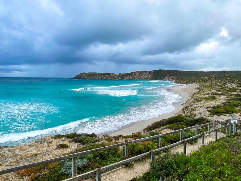 Bushland Elegance on Pelican Lagoon - Pelican Lagoon, Australia