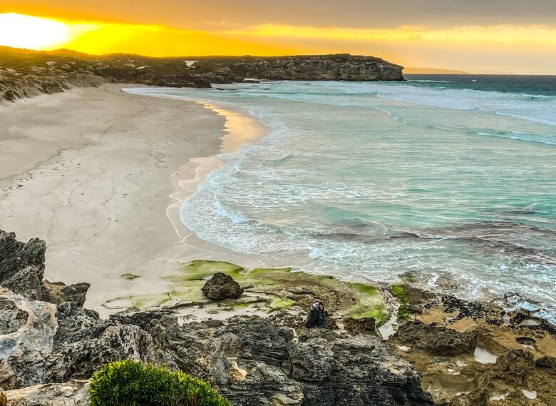 Bushland Elegance on Pelican Lagoon - Pelican Lagoon, Australia