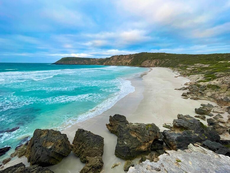 Bushland Elegance on Pelican Lagoon - Pelican Lagoon, Australia