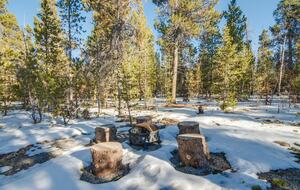 Alpine Elegance in the Heart of Fairplay - Fairplay, Colorado