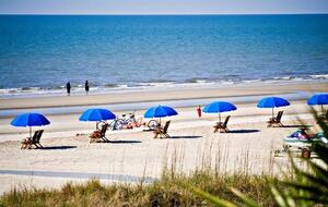 Steps from the Sand | Oceanview Villa with Pool Access in Palmetto Dunes - Hilton Head Island, South Carolina