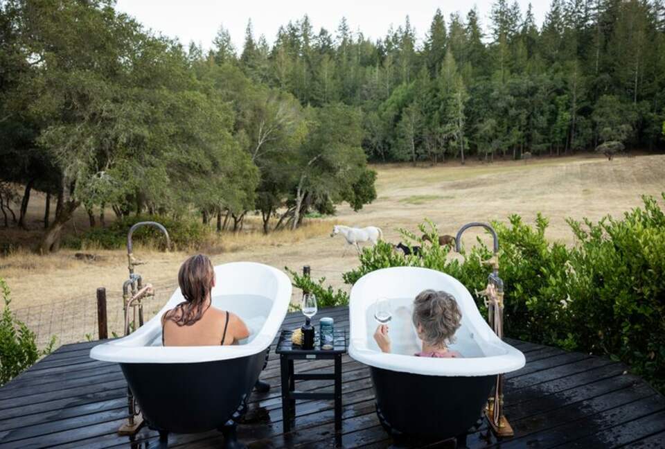 NewTree Ranch | Where Nature Meets Ultra-Luxury - Healdsburg, California
