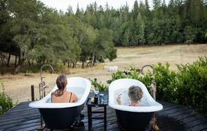 NewTree Ranch | Where Nature Meets Ultra-Luxury - Healdsburg, California