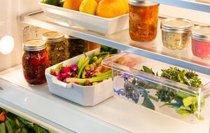 NewTree Ranch | Where Nature Meets Ultra-Luxury - Healdsburg, California