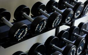 NewTree Ranch | Where Nature Meets Ultra-Luxury - Healdsburg, California