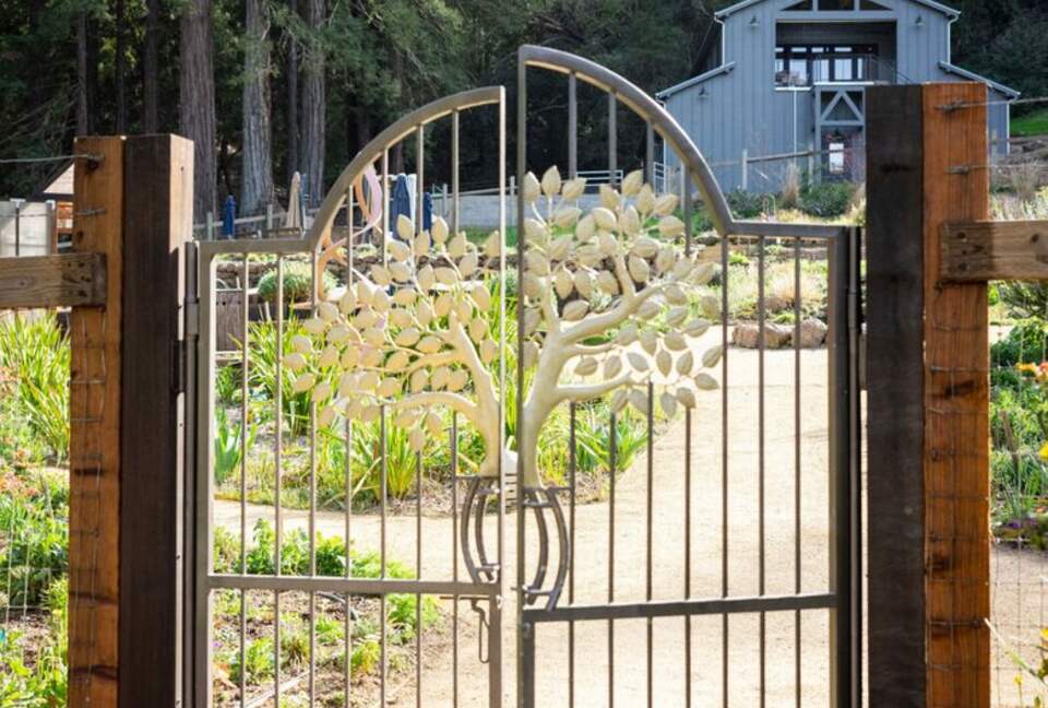 NewTree Ranch | Where Nature Meets Ultra-Luxury - Healdsburg, California