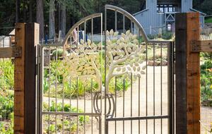 NewTree Ranch | Where Nature Meets Ultra-Luxury - Healdsburg, California