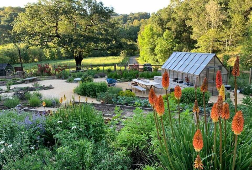 NewTree Ranch | Where Nature Meets Ultra-Luxury - Healdsburg, California