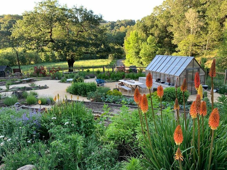 NewTree Ranch | Where Nature Meets Ultra-Luxury - Healdsburg, California