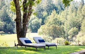 NewTree Ranch | Where Nature Meets Ultra-Luxury - Healdsburg, California