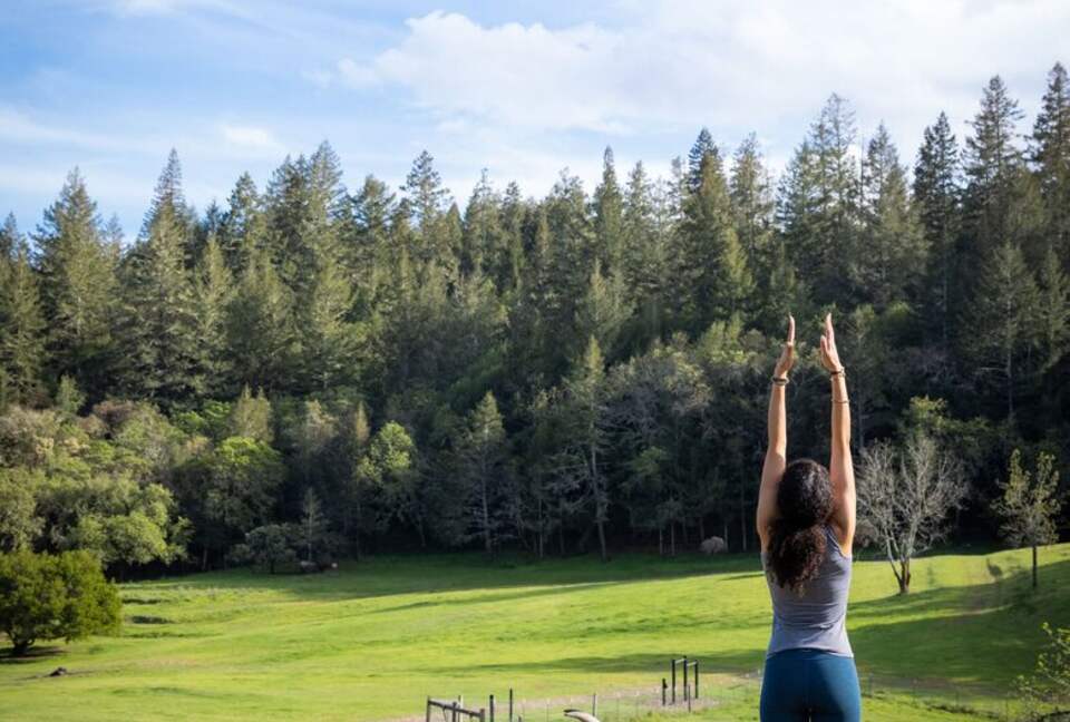 NewTree Ranch | Where Nature Meets Ultra-Luxury - Healdsburg, California