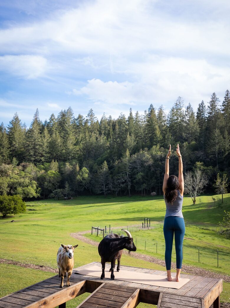 NewTree Ranch | Where Nature Meets Ultra-Luxury - Healdsburg, California