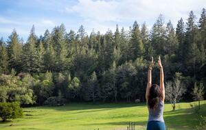 NewTree Ranch | Where Nature Meets Ultra-Luxury - Healdsburg, California