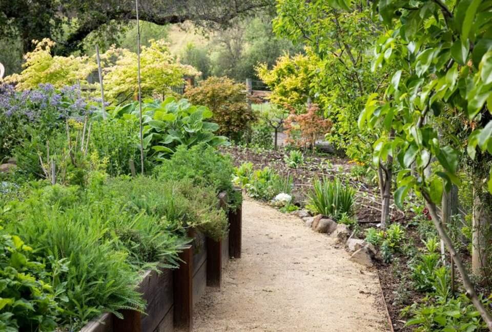 NewTree Ranch | Where Nature Meets Ultra-Luxury - Healdsburg, California