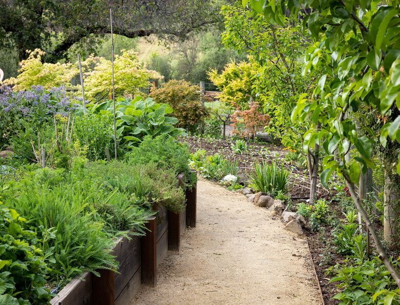 NewTree Ranch | Where Nature Meets Ultra-Luxury - Healdsburg, California