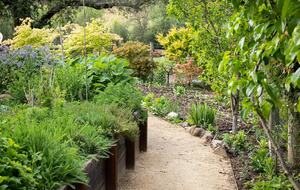 NewTree Ranch | Where Nature Meets Ultra-Luxury - Healdsburg, California