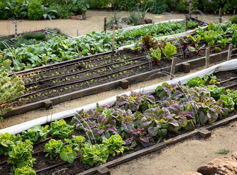 NewTree Ranch | Where Nature Meets Ultra-Luxury - Healdsburg, California