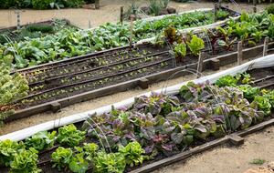 NewTree Ranch | Where Nature Meets Ultra-Luxury - Healdsburg, California