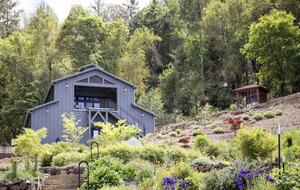 NewTree Ranch | Where Nature Meets Ultra-Luxury - Healdsburg, California