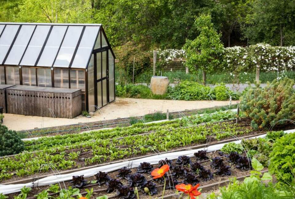 NewTree Ranch | Where Nature Meets Ultra-Luxury - Healdsburg, California