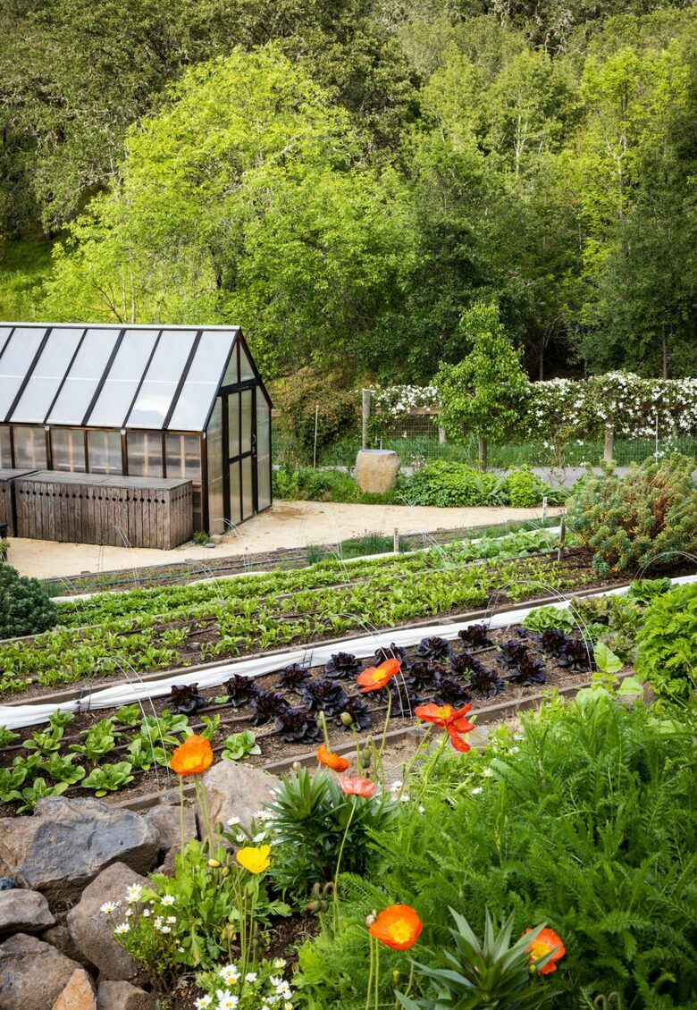 NewTree Ranch | Where Nature Meets Ultra-Luxury - Healdsburg, California