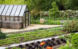 NewTree Ranch | Where Nature Meets Ultra-Luxury - Healdsburg, California