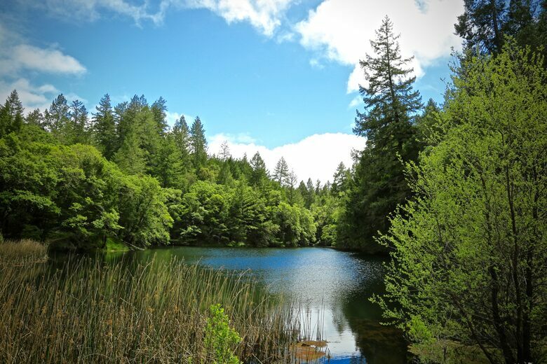 NewTree Ranch | Where Nature Meets Ultra-Luxury - Healdsburg, California