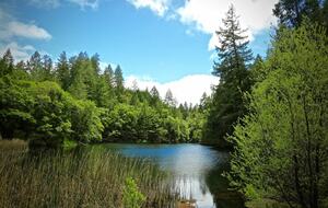 NewTree Ranch | Where Nature Meets Ultra-Luxury - Healdsburg, California