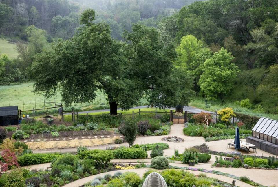 NewTree Ranch | Where Nature Meets Ultra-Luxury - Healdsburg, California