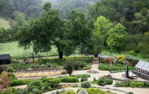 NewTree Ranch | Where Nature Meets Ultra-Luxury - Healdsburg, California