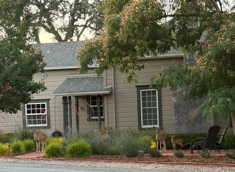 Westside Hideaway Near Downtown Paso Robles - Paso Robles, California