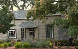 Westside Hideaway Near Downtown Paso Robles - Paso Robles, California