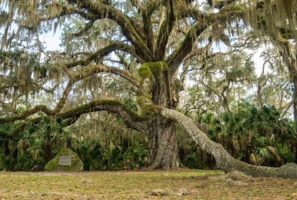 Golden Hour Cottage by the Sea - Flagler Beach, Florida