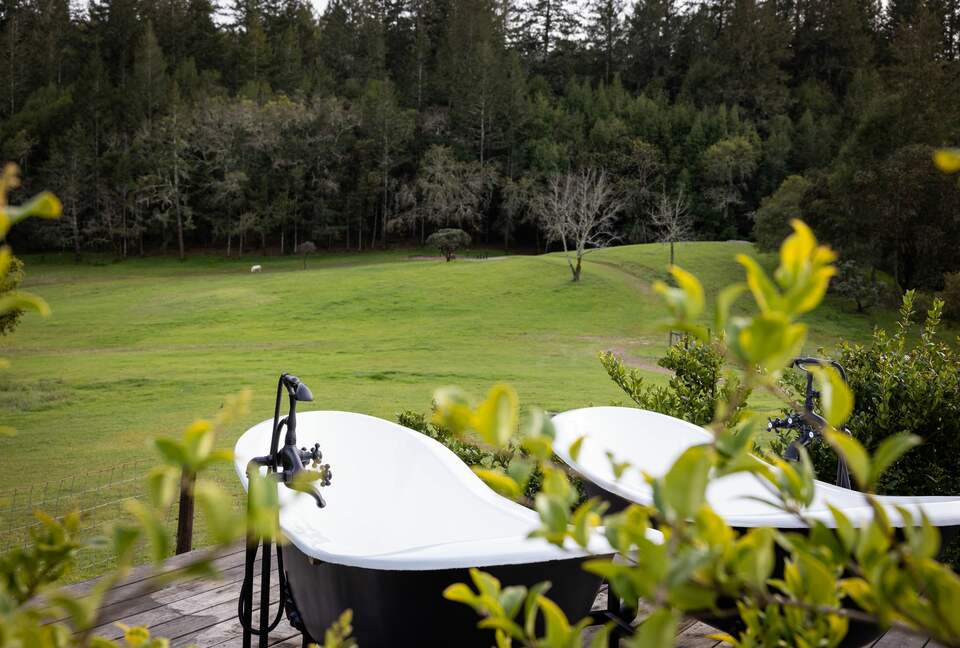 NewTree Ranch | Where Nature Meets Ultra-Luxury - Healdsburg, California