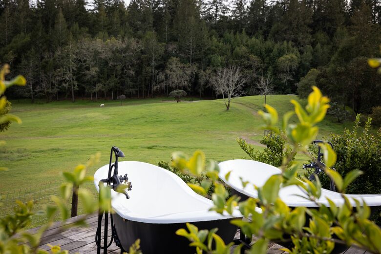 NewTree Ranch | Where Nature Meets Ultra-Luxury - Healdsburg, California