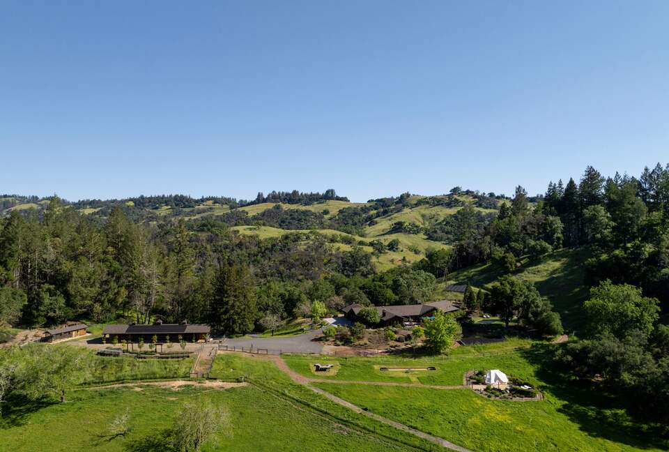 NewTree Ranch | Where Nature Meets Ultra-Luxury - Healdsburg, California