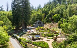 NewTree Ranch | Where Nature Meets Ultra-Luxury - Healdsburg, California
