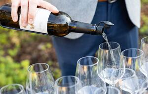 NewTree Ranch | Where Nature Meets Ultra-Luxury - Healdsburg, California