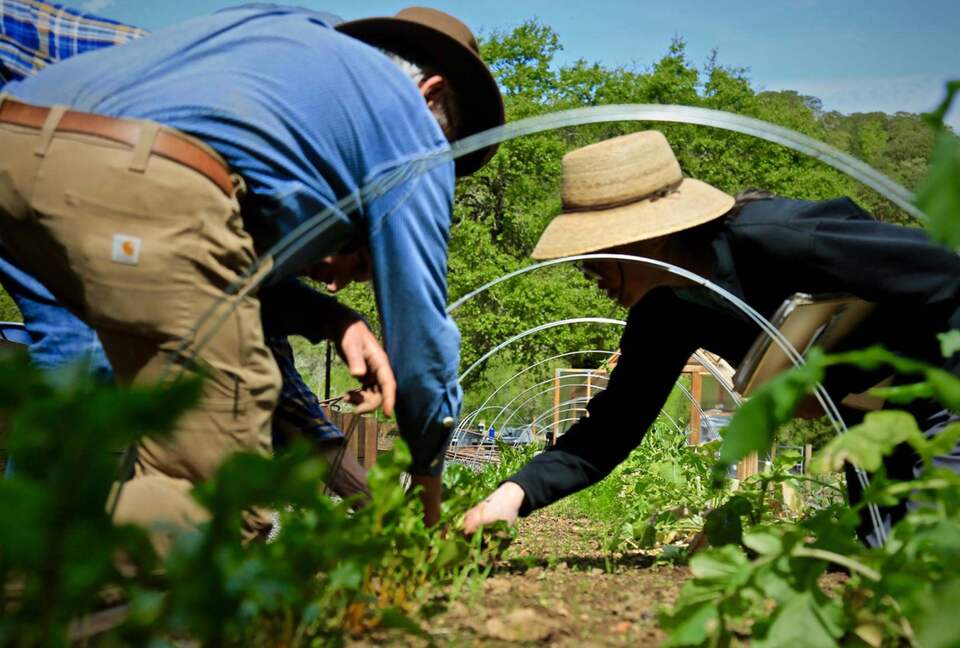 NewTree Ranch | Where Nature Meets Ultra-Luxury - Healdsburg, California