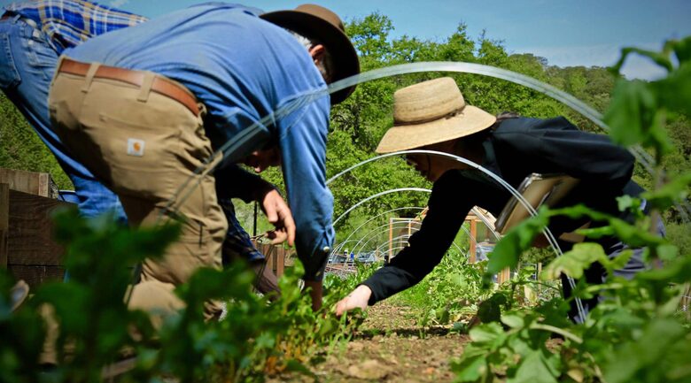 NewTree Ranch | Where Nature Meets Ultra-Luxury - Healdsburg, California