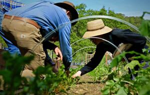 NewTree Ranch | Where Nature Meets Ultra-Luxury - Healdsburg, California
