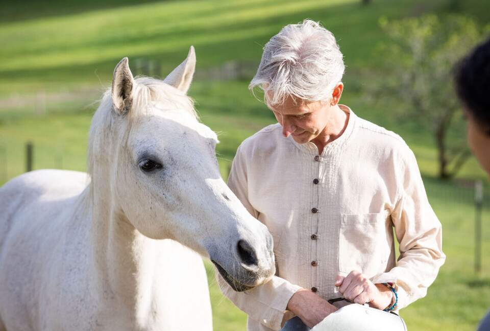NewTree Ranch | Where Nature Meets Ultra-Luxury - Healdsburg, California